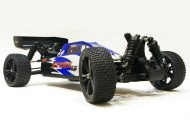 blue_buggy29